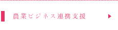 農業ビジネス連携支援